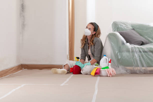 Reliable Bathroom Mold Removal contractor in Moonachie, NJ by Mold Remediation HQ